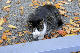 image0322