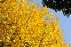 image0323