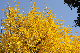 image0324