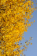 image0325