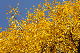 image0326