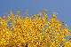 image0327