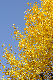 image0328