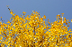 image0329