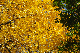 image0330