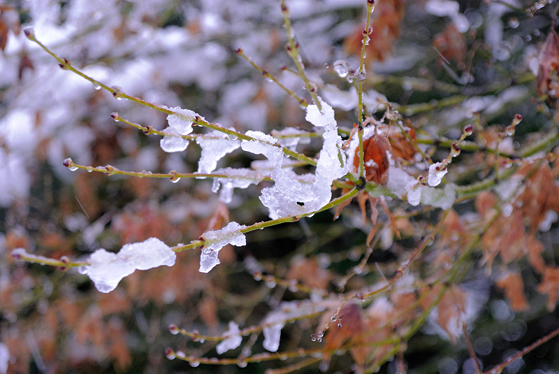 image0096