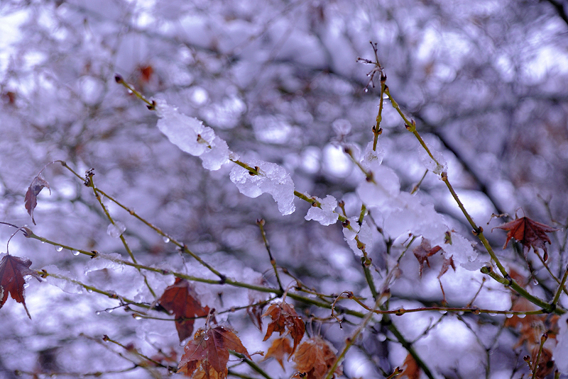 image0097