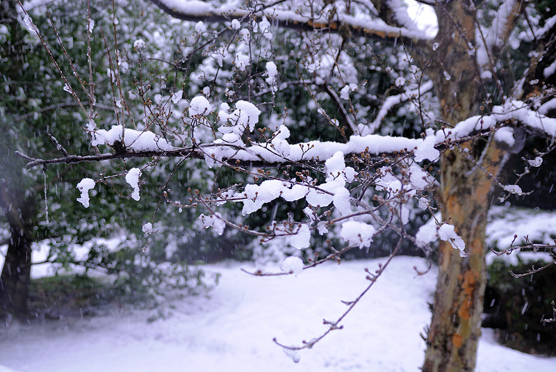 image0101