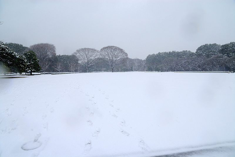 image0103