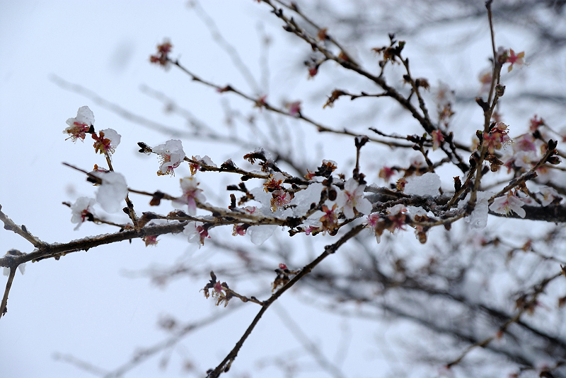 image0109