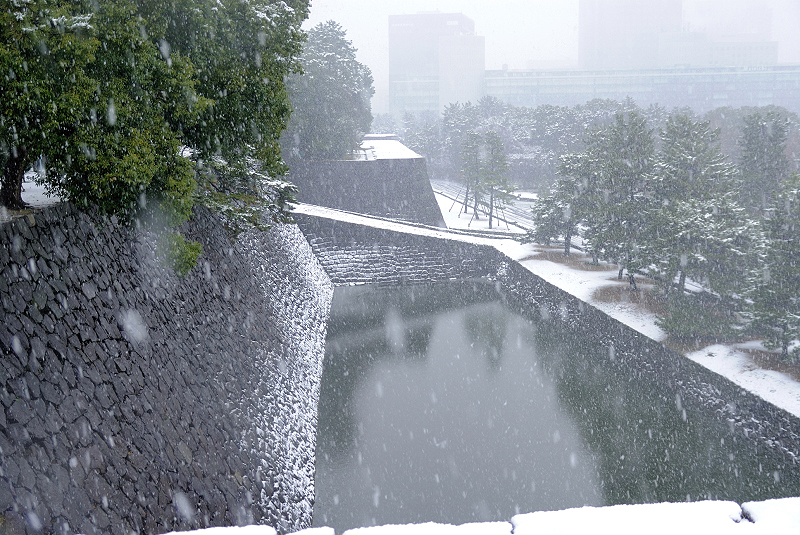image0115