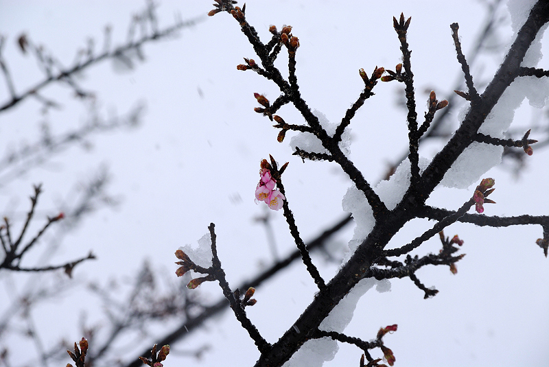 image0117