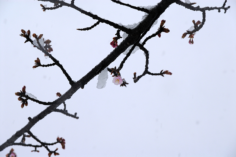 image0118