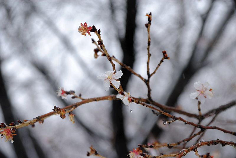 image0121