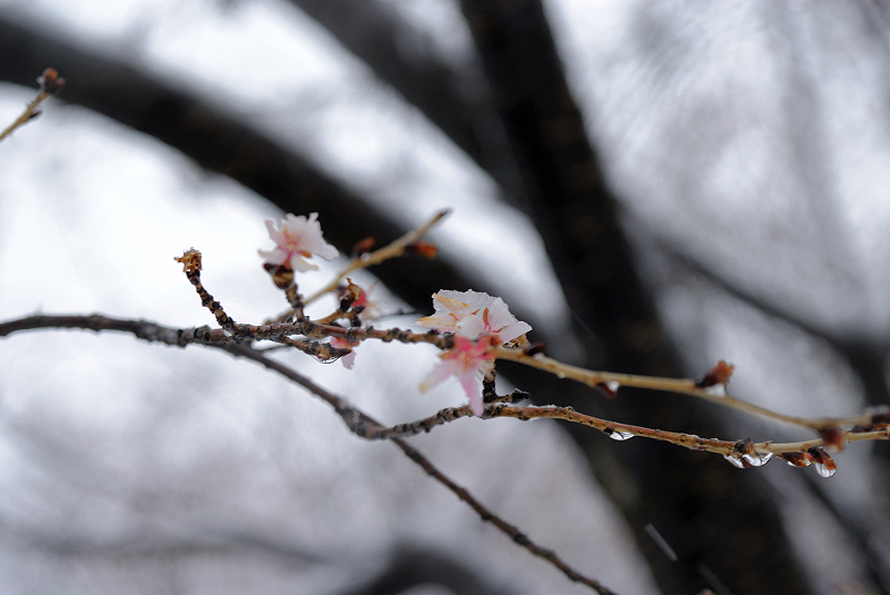 image0122