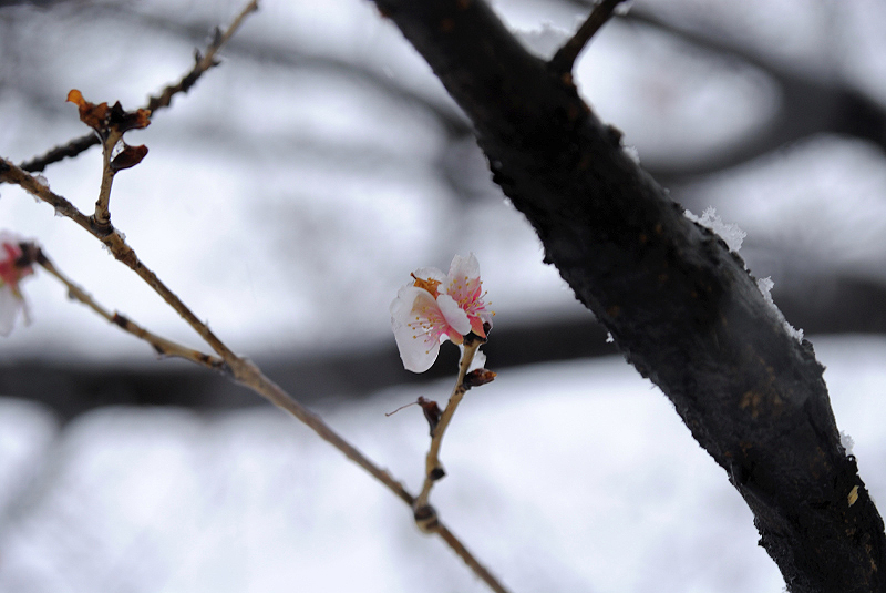 image0123