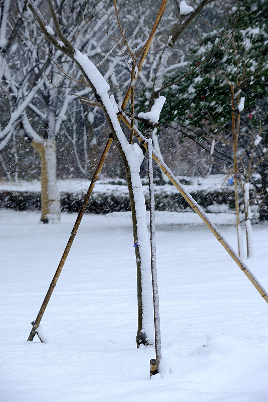 image0127