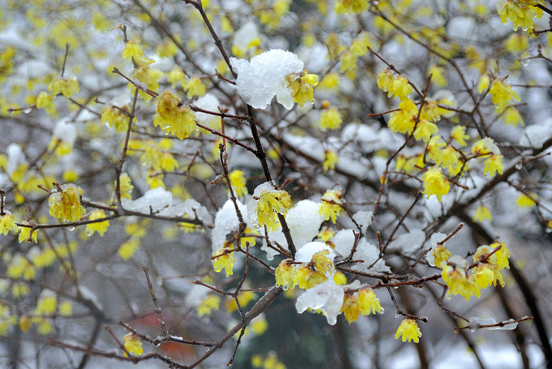 image0137
