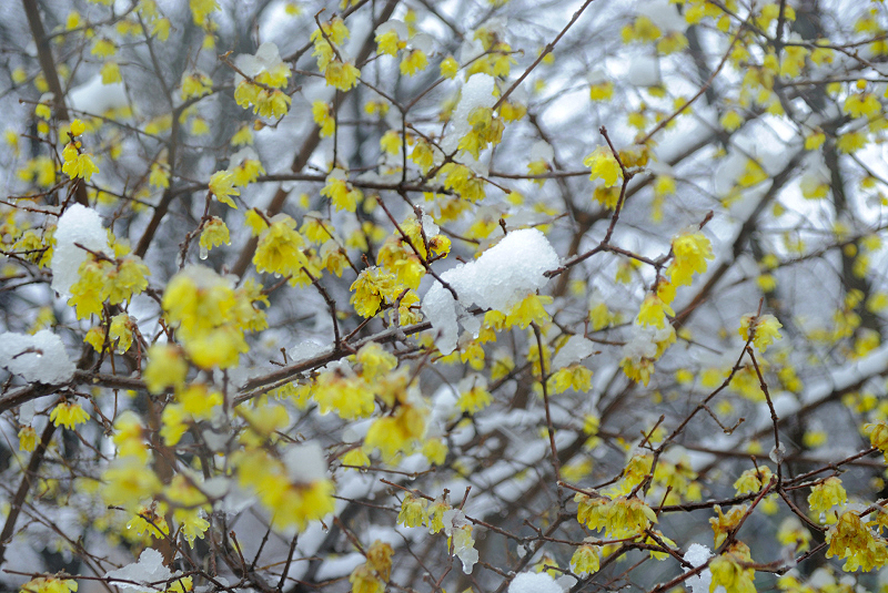 image0138