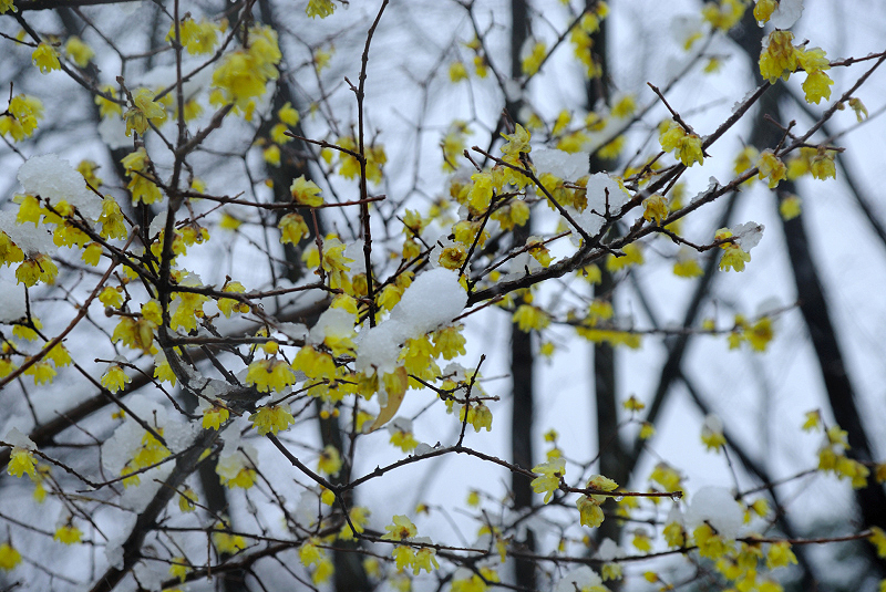 image0139