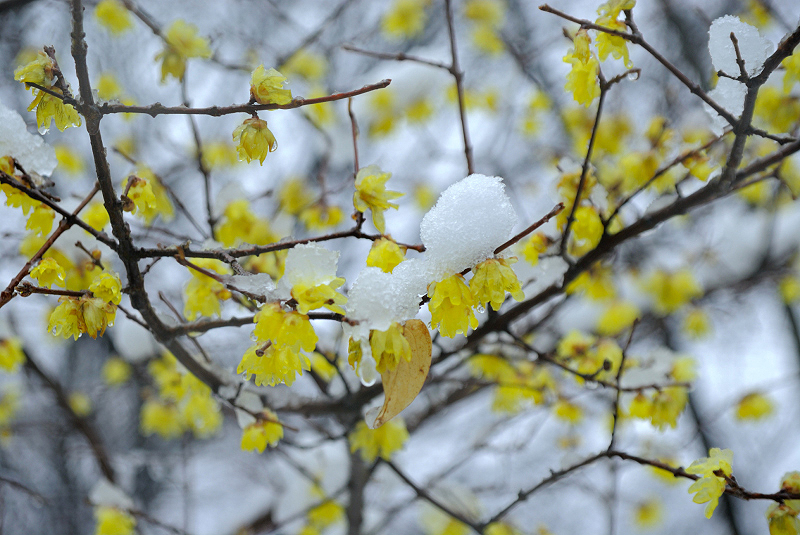 image0142