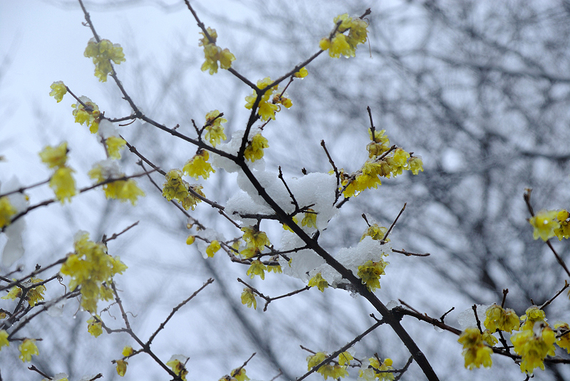 image0143