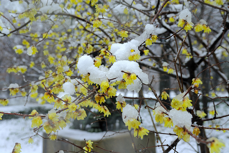 image0144