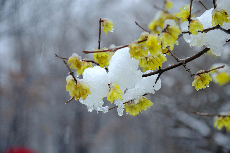 image0145