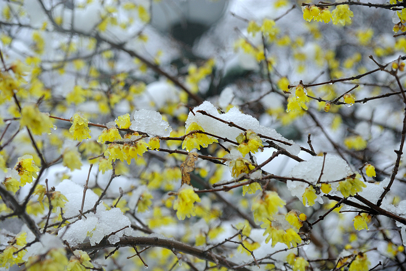 image0147