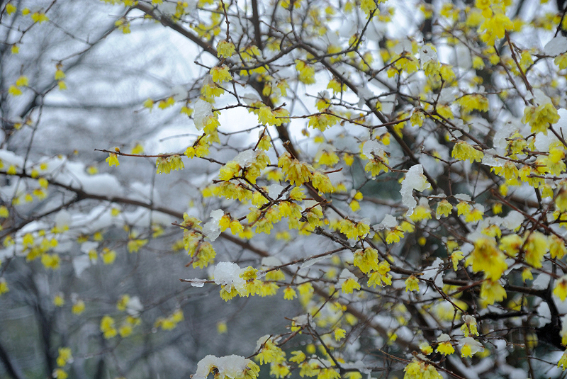 image0150