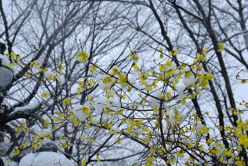 image0151