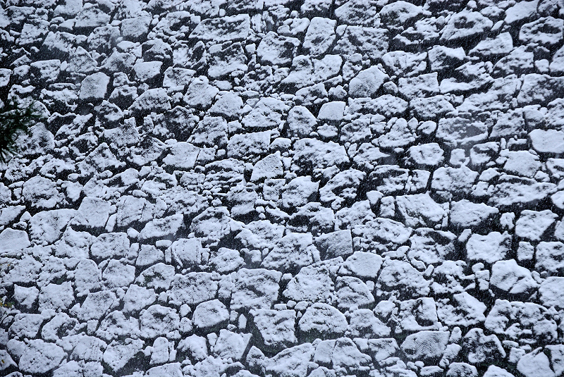 image0157