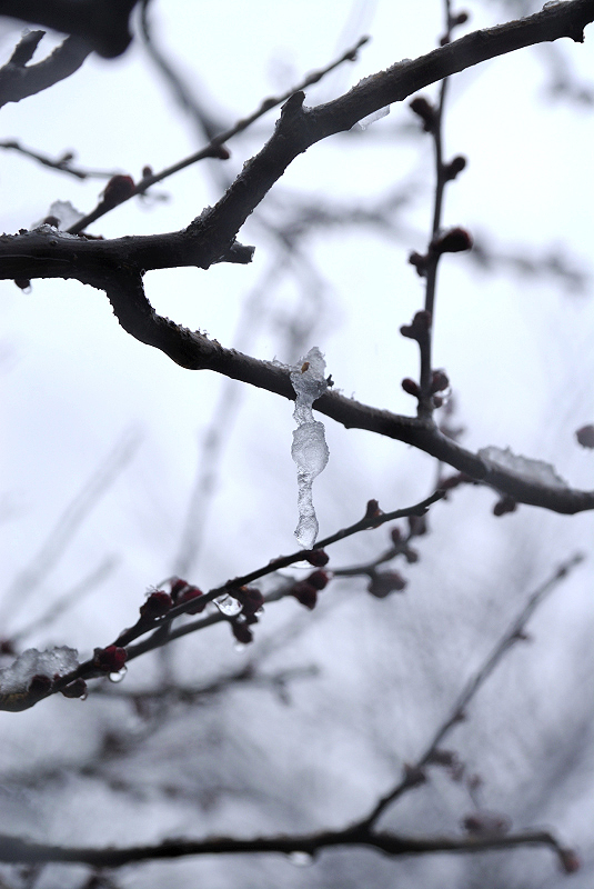 image0166