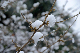 image0131