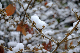 image0132