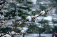 image0133