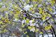 image0137