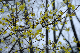 image0139