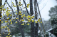 image0140