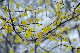 image0142