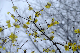 image0143