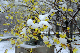 image0144