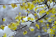 image0146