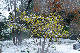 image0153