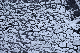 image0156
