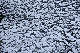 image0157