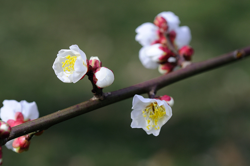 image0124