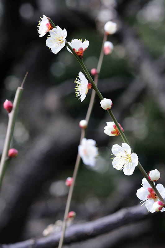 image0129