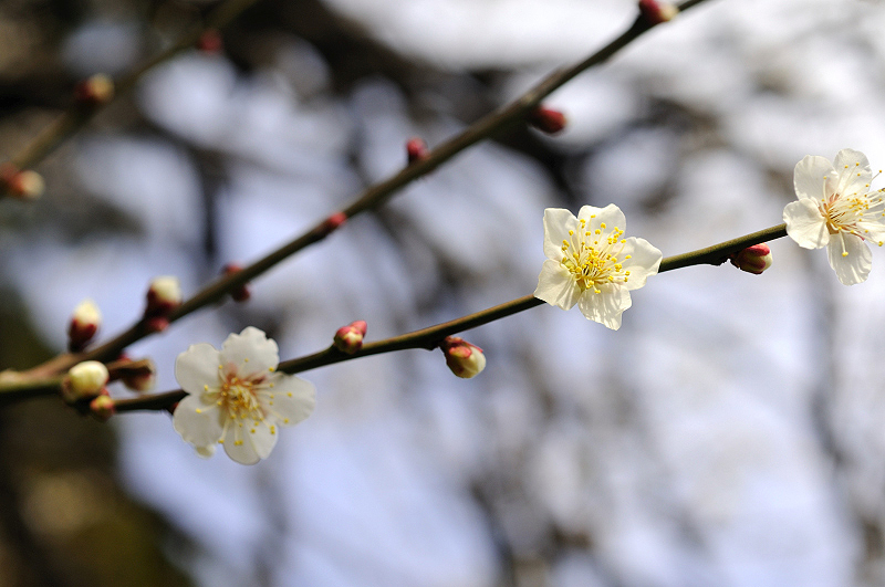 image0133