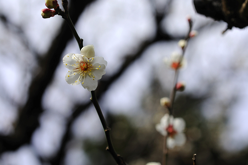 image0137